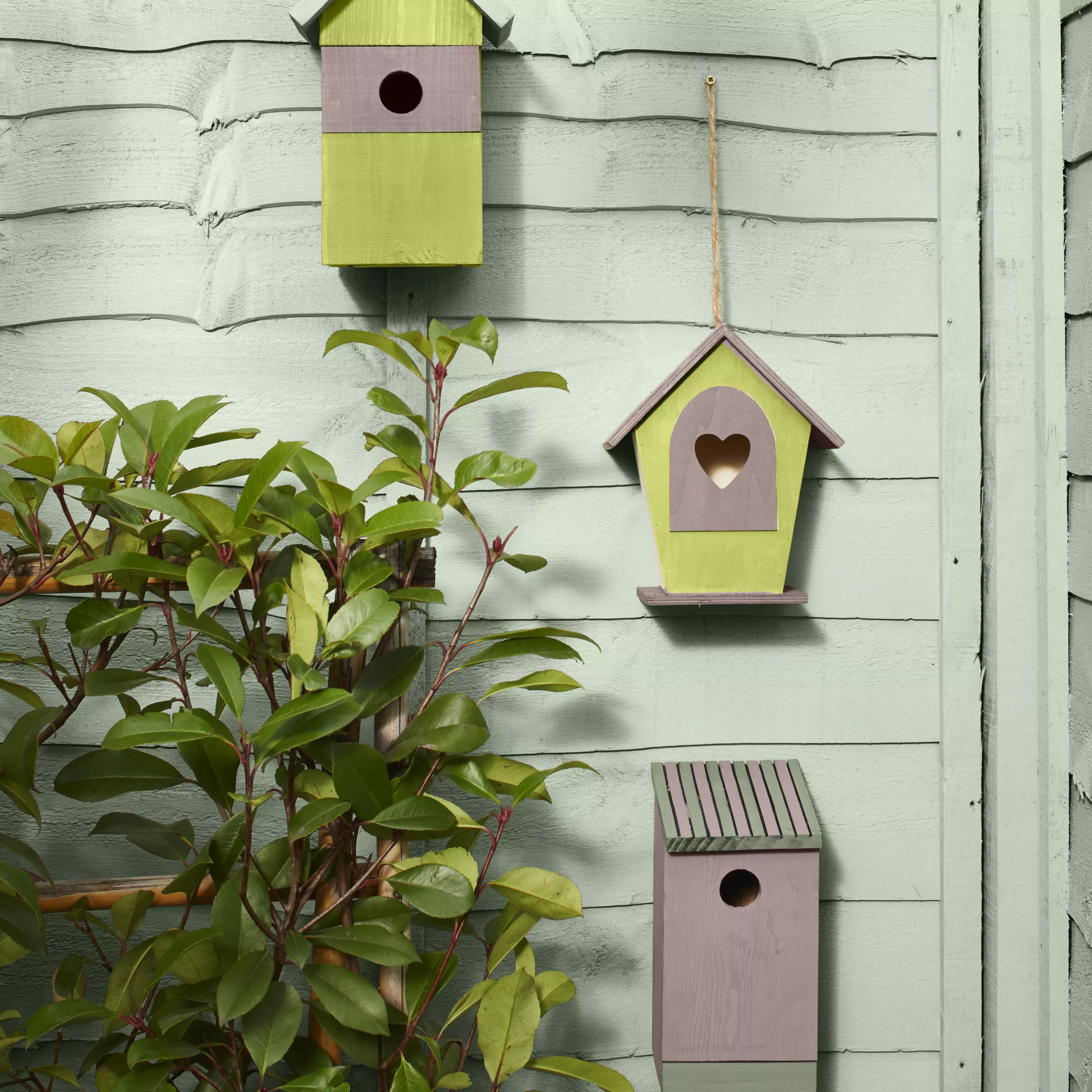 Cuprinol Garden Shades Fresh Rosemary Matt Multi-surface Exterior Wood Paint, 2.5L 6 Cuprinol Garden Shades Fresh Rosemary Matt Multi-surface Exterior Wood Paint, 2.5L - Image 4