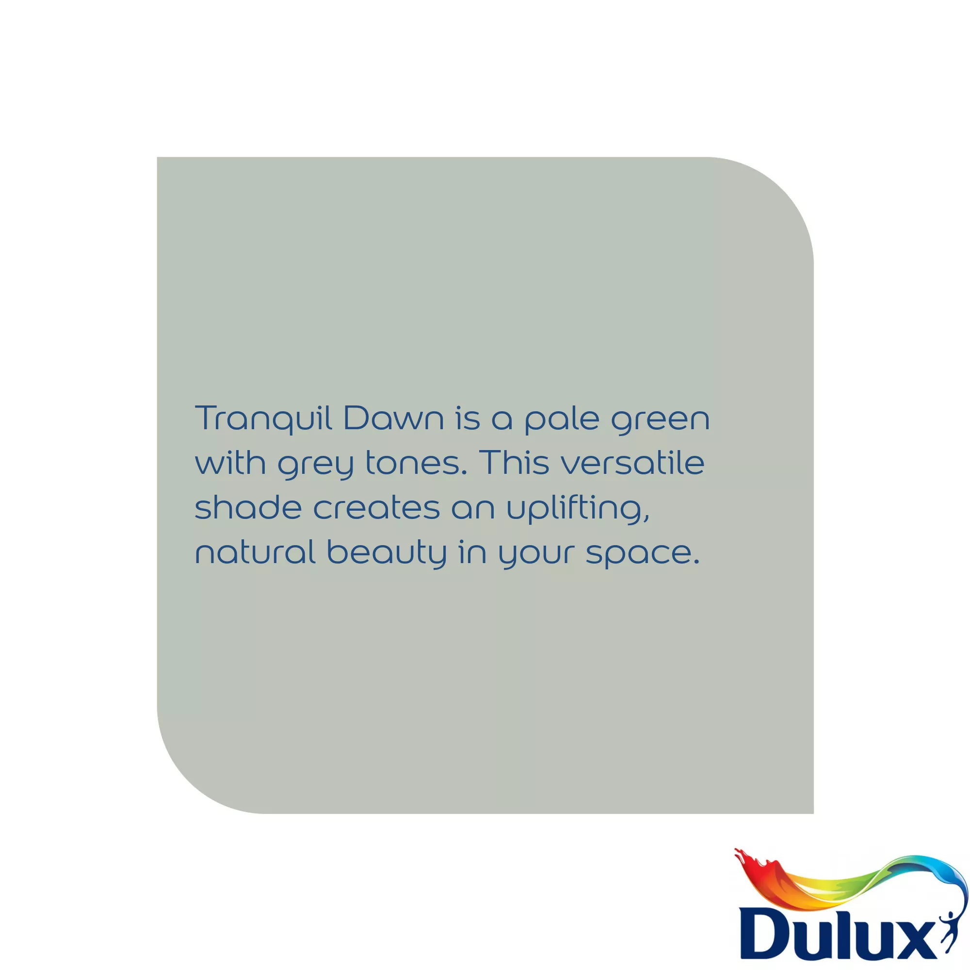 Dulux Easycare Bathroom Tranquil Dawn Soft Sheen Wall Paint, 2.5L 6 Dulux Easycare Bathroom Tranquil Dawn Soft Sheen Wall Paint, 2.5L - Image 4