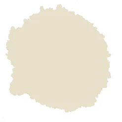 Rust-Oleum Natural Effects Limestone Matt Textured Effect Multi-surface Spray Paint, 400ml 7 Rust-Oleum Natural Effects Limestone Matt Textured Effect Multi-surface Spray Paint, 400ml -TRADE POINTS PAINTS rust oleum natural effects limestone matt textured effect multi surface spray paint 400ml5013296953573 21c bq